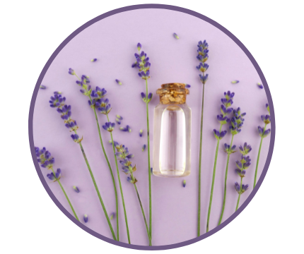 Lavender Oil