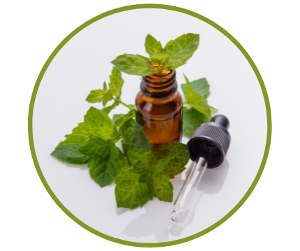 Peppermint Oil